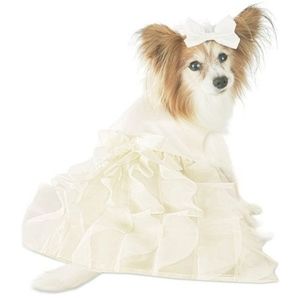 The You & Me Wedding Dress & Veil Set for Dogs (do